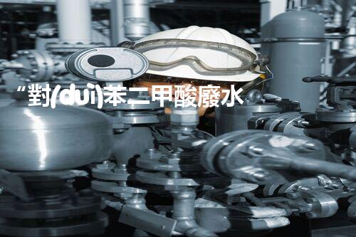 “對(duì)苯二甲酸廢水處理，綠色創(chuàng)新引領(lǐng)環(huán)保新篇章”
